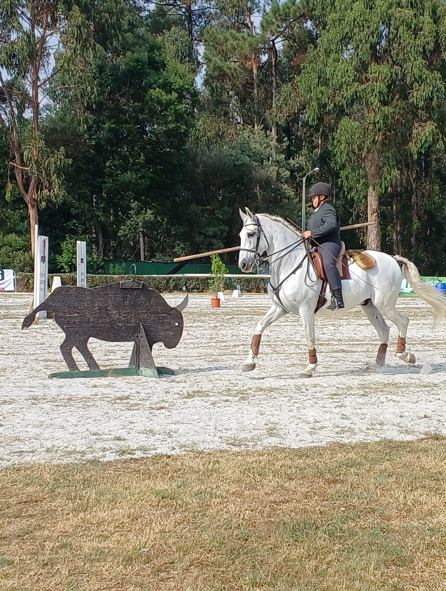 460339680_2246360089035201_1251453204942463997_n