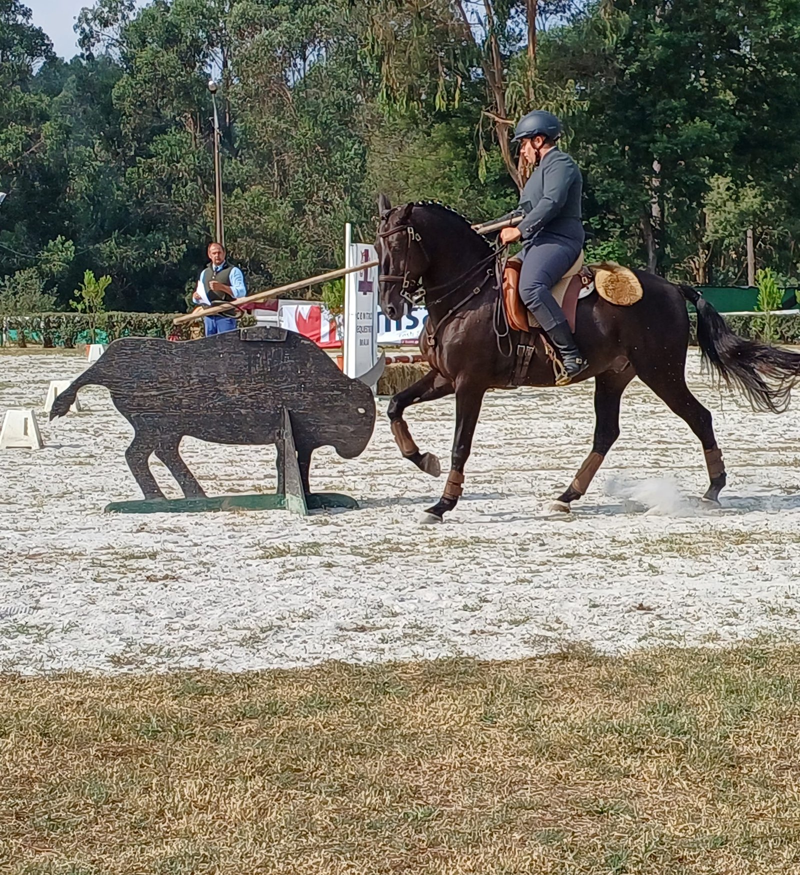 460620692_2246359989035211_6949533475370422241_n