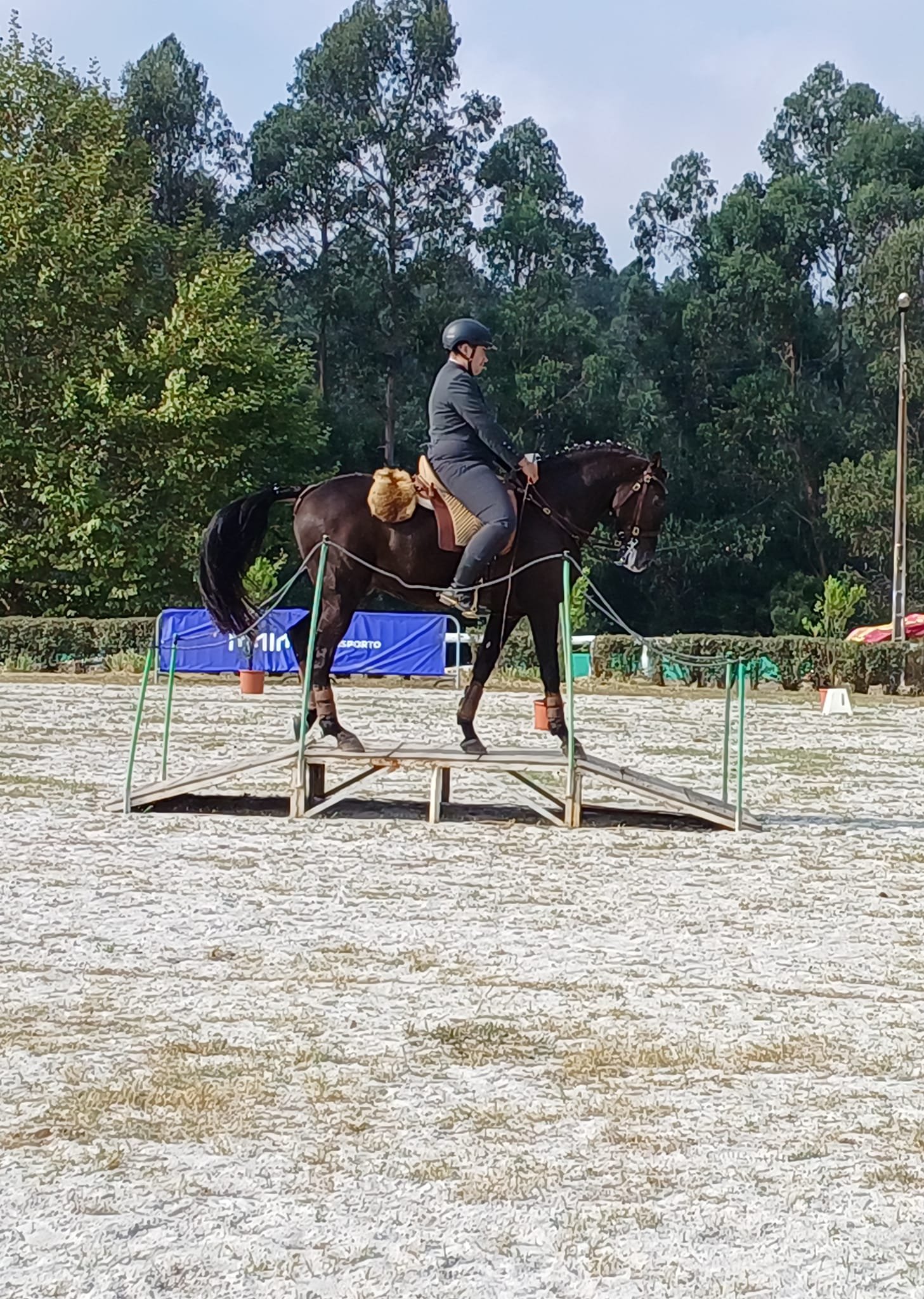 460903631_2246360149035195_2488165638878147976_n